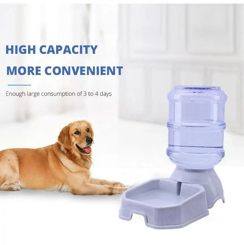 Smart Automatic Pet Feeder Decorify Homes