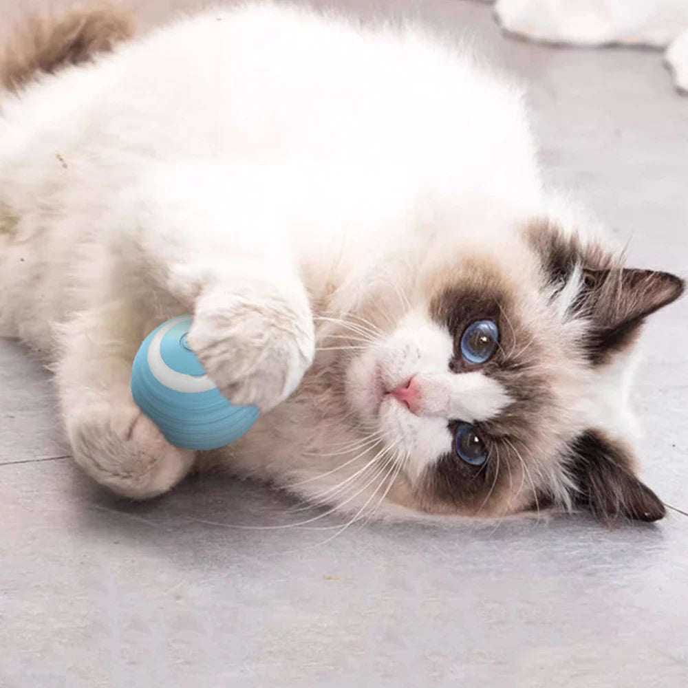 Electric Cat Ball Toys Decorify Homes