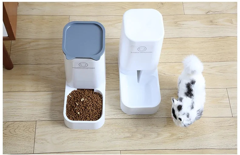 Automatic Pet Feeder Decorify Homes