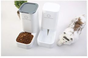 Automatic Pet Feeder Decorify Homes