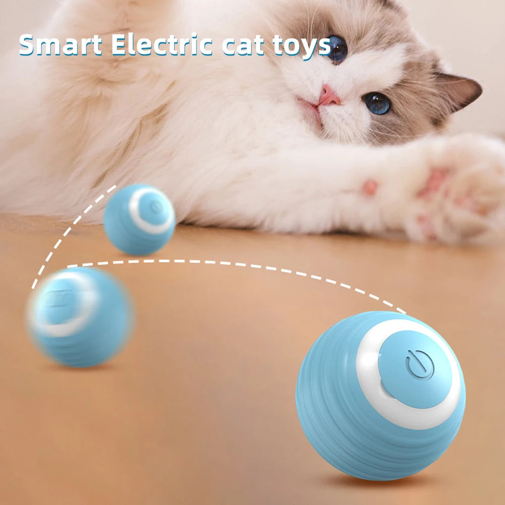 Electric Cat Ball Toys Decorify Homes