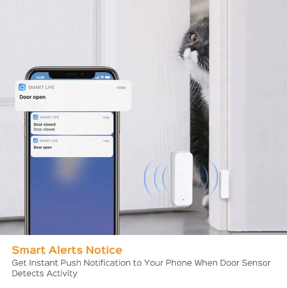 Smart Home Door Sensor Decorify Homes