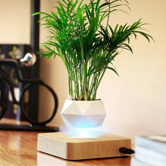 Levitating Air Bonsai Pot - Rotating Flower Planter for Modern Home Decor - Decorify Homes