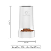 Automatic Pet Feeder Decorify Homes