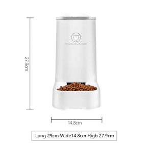 Automatic Pet Feeder Decorify Homes