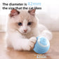 Electric Cat Ball Toys Decorify Homes